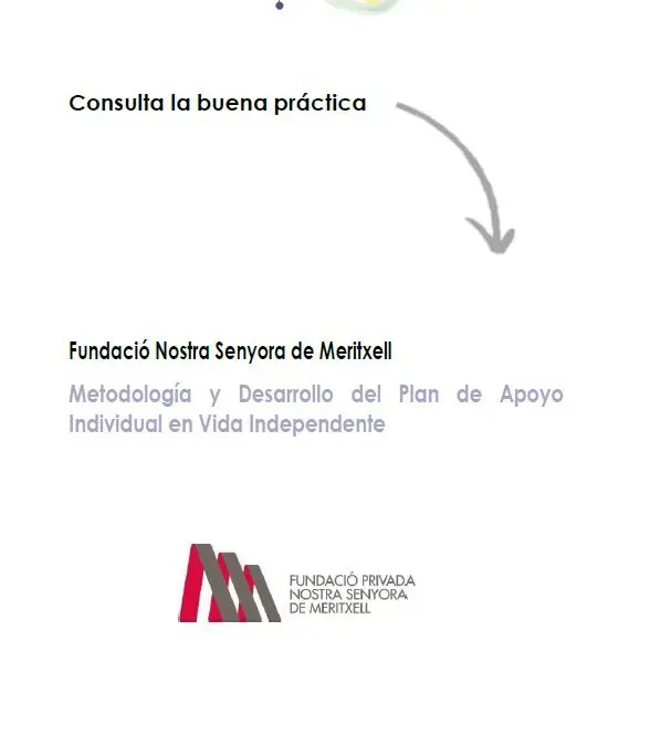 METODOLOGÍA Y DESARROLLO DEL PLAN DE APOYO INDIVIDUAL EN VIDA INDEPENDIENTE